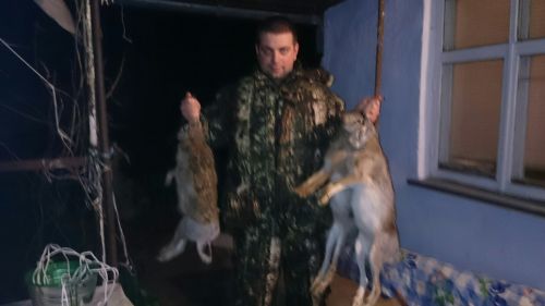 Депутат от БПП снялся с мертвым кенгуру