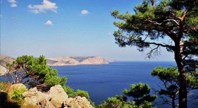 Под Счастье на Луганщину прибыло подразделение снайперов “ЛНР”, а в Донецк – сибирский спецназ