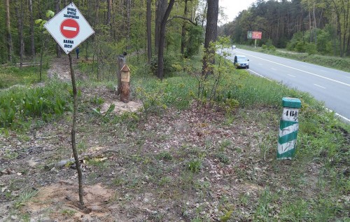 Київські комунальники продовжують знищувати ліси. ФОТОФАКТ