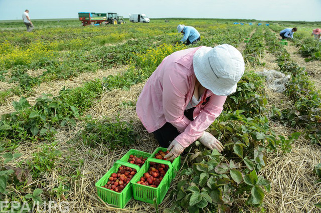 Каждый пятый украинец готов покинуть страну