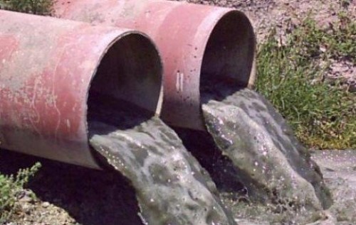 На пляжах Севастополя люди купаются рядом с канализационными стоками