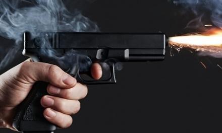 Полицейские усмирили разбушевавшегося психа пулями