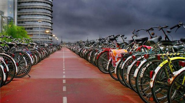 Афера велосипедов: Саакашвили мешает простым контрабандистам