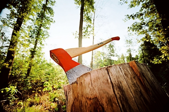 Активист Евгений Мельничук поддержал застройку Беличанского леса