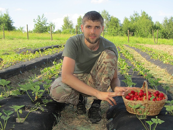 Вернувшись с войны, многодетный боец АТО основал семейный бизнес по выращиванию клубники