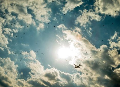 Нардепы сегодня летят на футбол на «своем» самолете