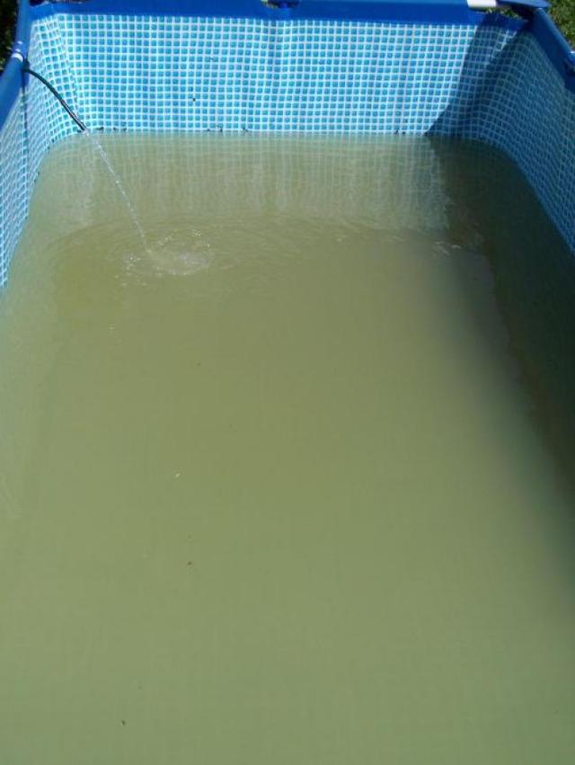 Чем в Крыму импортзаместили украинскую воду