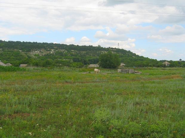 "Сафарі для високопосадовця": На Луганщині нетверезий голова місцевої адміністрації їздив на джипі та стріляв у людей