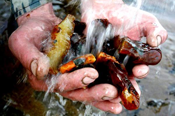 Правоохоронна мафія Одеси займається бурштиновим бізнесом