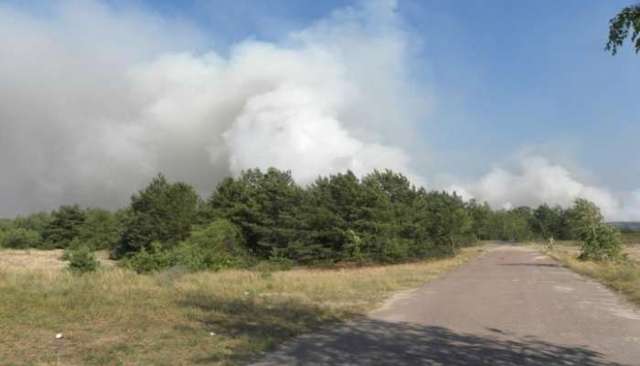 Нардеп уверен, что Чернобыльский лес подожгли