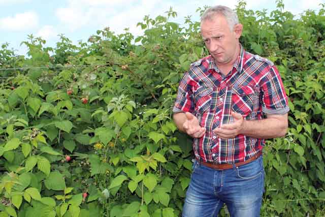 Пример украинского чуда – на Винничине люди превратили свое село в богатое и процветающее