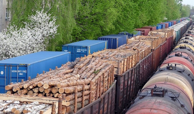 На Закарпатті конфіскували перші вагони з “забороненим” лісом