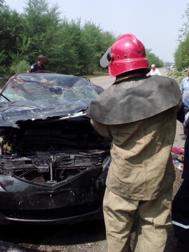 В Запорожской области смертельное ДТП унесло жизни двух человек