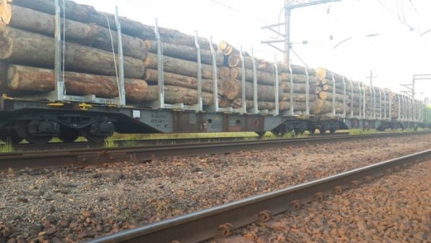 Москаль викрив масштабну схему контрабанди лісу до ЄС