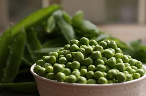 Украина может собрать рекордный урожай