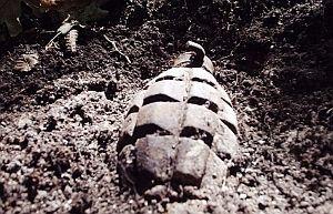 Трое охотников подорвались на гранате. Директор школы в коме