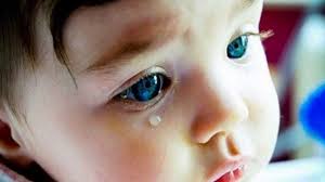 Львовские чиновники планируют нажиться на детях