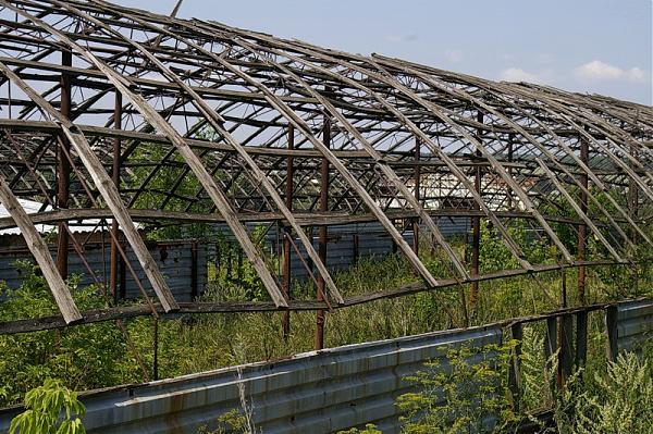 В Украине за 12 месяцев уничтожено 2000 фермерских хозяйств