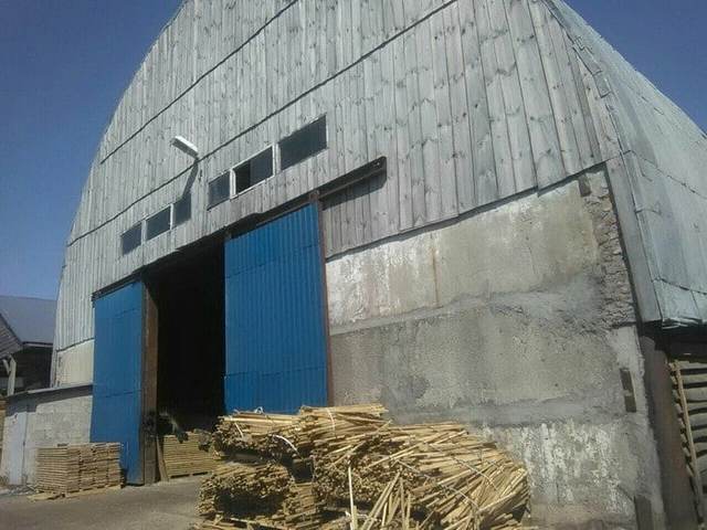 СБУ разоблачила масштабную вырубку лесов во Львовской области