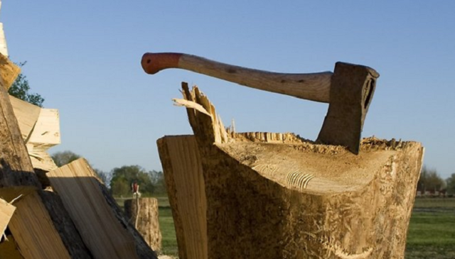 На Полтавщине ромы с топорами устроили погоню за детьми (ВИДЕО)