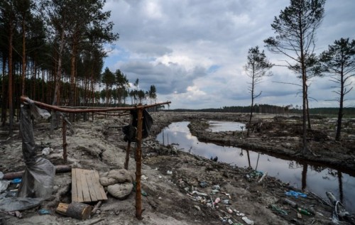 Томенко: "Бурштинову мафію" в Україні не ліквідували, а по-новому очолили?