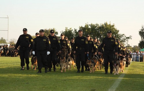 Форма для сотрудников таможни по 500$ - это «коррупционные объятия»