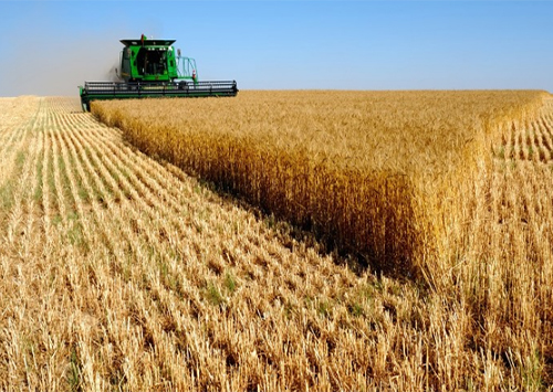 Люди Ляшко на Днепропетровщине «радикально» взялись за ограбление фермеров