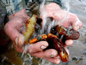 На Рівненщині бурштинокопачі напали на поліцейськи