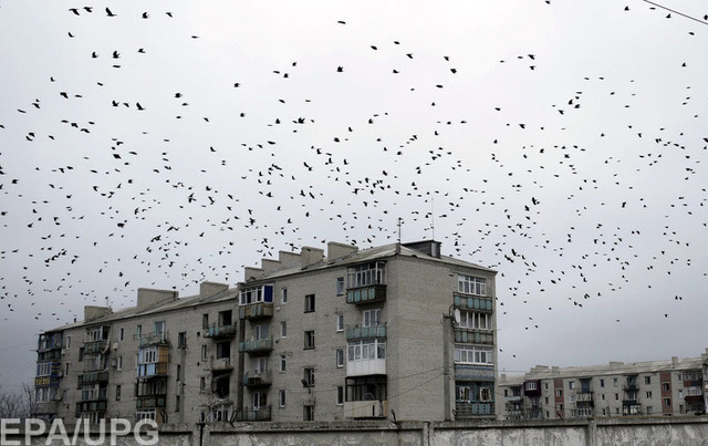 Отпустить или оставить: даст ли что-то Украине отделение Донбасса