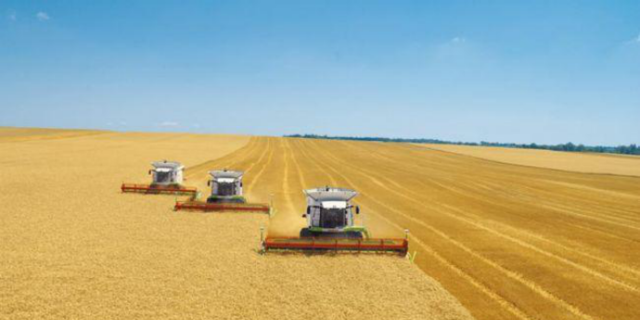 Верховная Рада продлила мораторий на продажу с/х земель