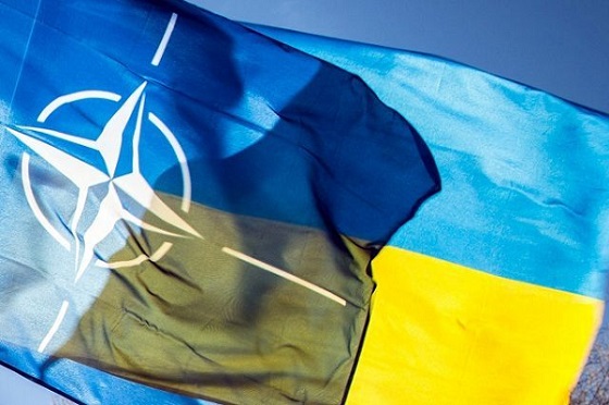 В НАТО признали для себя полезным опыт войны Украины с Россией