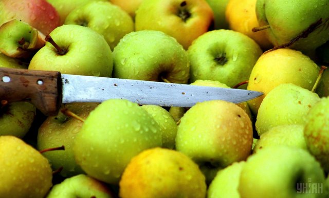 СБУ звільнила більше 100 "рабів" на фермі у Вінницькій області