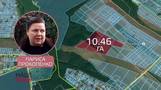 Сестра «бриллиантового» прокурора «по-партнёрски» завладела 10 гектарами под Киевом