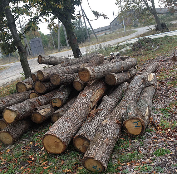 На Тернопільщині затримали чергового безсовісного посадовця