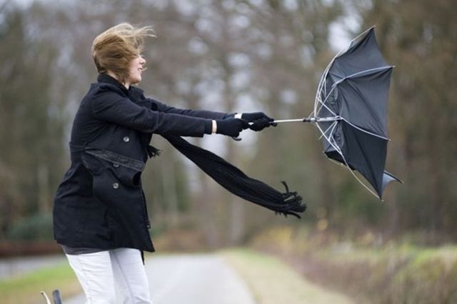 Киевлянам советуют закрыть все окна и остерегаться тополей