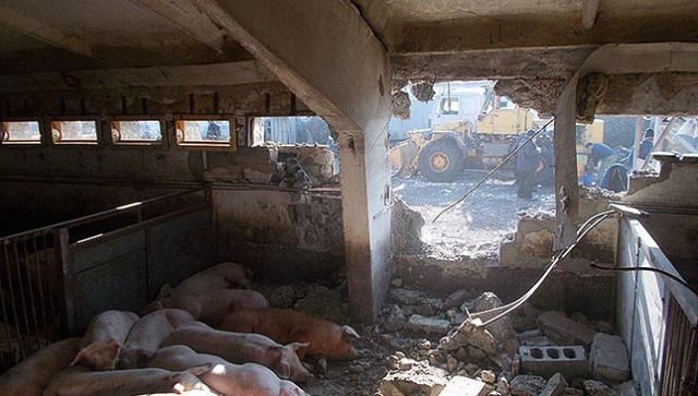 В штабе АТО показали разрушенное боевиками фермерское хозяйство в Тоненьком под Авдеевкой