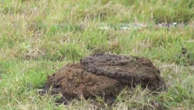 РОСІЯ ПОСТАВИЛИ НОВИЙ РЕКОРД З КИДАННЯ ЛАЙНА (ВІДЕО)