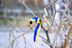 Так начинался Евромайдан