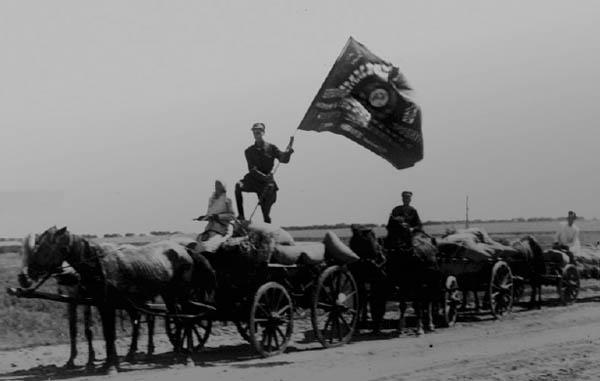 Селянські повстання і Голодомор. Як українське село чинило спротив колективізації