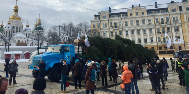В Киев привезли главную новогоднюю елку (ВИДЕО)