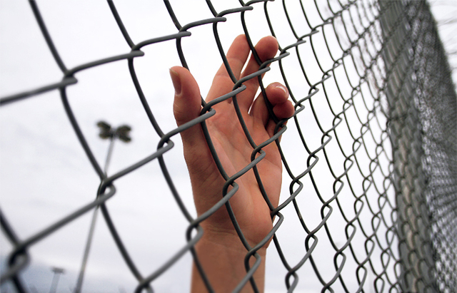 "Накормлю лично": Гройсман пригрозил коррупционерам жесткими мерами