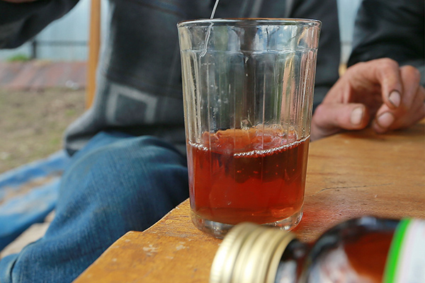 "Боярышник" становится символом последней части новейшей истории России", - Олег Панфілов