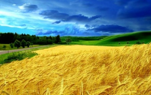 "Компроміс" Пінчука. Наступний пункт - припинення існування України як незалежної держави