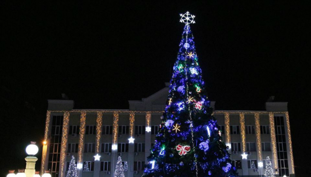 СМИ показали самую дорогую елку в Украине