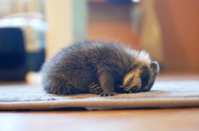 Есть в Украине такое феноменальное явление - постоянные выходные