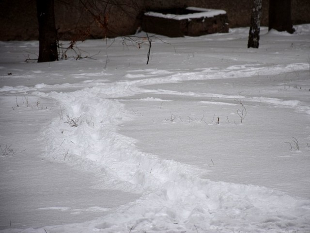 На Вінниччині у замерзлому кар’єрі знайшли автомобіль із трупом