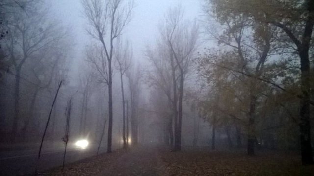 Туман в Киеве сохранится до четверга