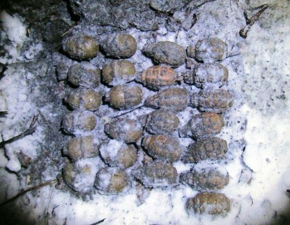 В Житомирской области был обнаружен тайник с гранатами
