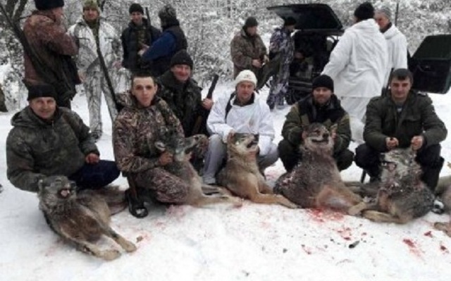 В мережі з’явилися кадри кривавого полювання на Волині. Живодери катують закривавлених тварин