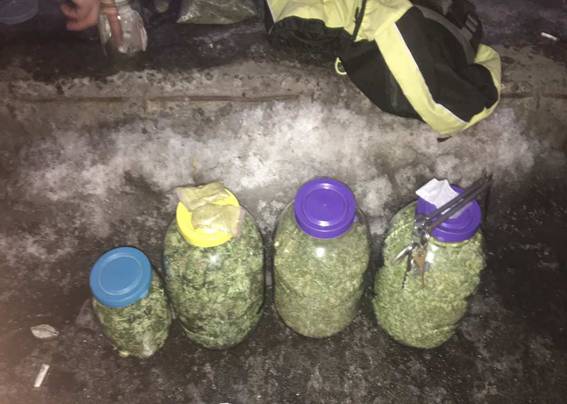 В Киеве поймали мужчину с марихуаной в трехлитровых банках